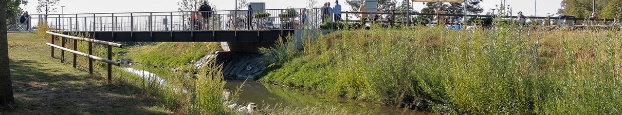 Le Bief - Renaturation et remise en état du port