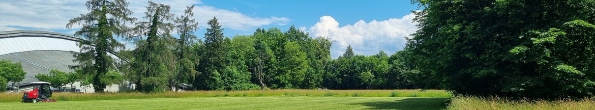 Prairie-Nord - Églantine