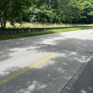 Avenue Henry-Warnery