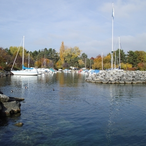 Le Bief - Renaturation et remise en état du port