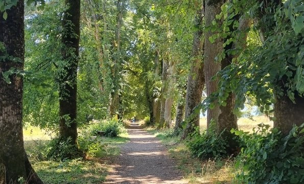 Prairie-Nord Ville de Morges