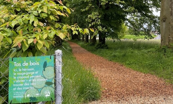 Prairie-Nord Ville de Morges