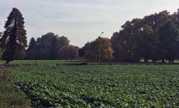 Photo de Prairie-Nord © Ville de Morges